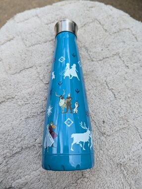 Disney's Frozen Character-Themed Stainless Steel Water Bottle By Swell